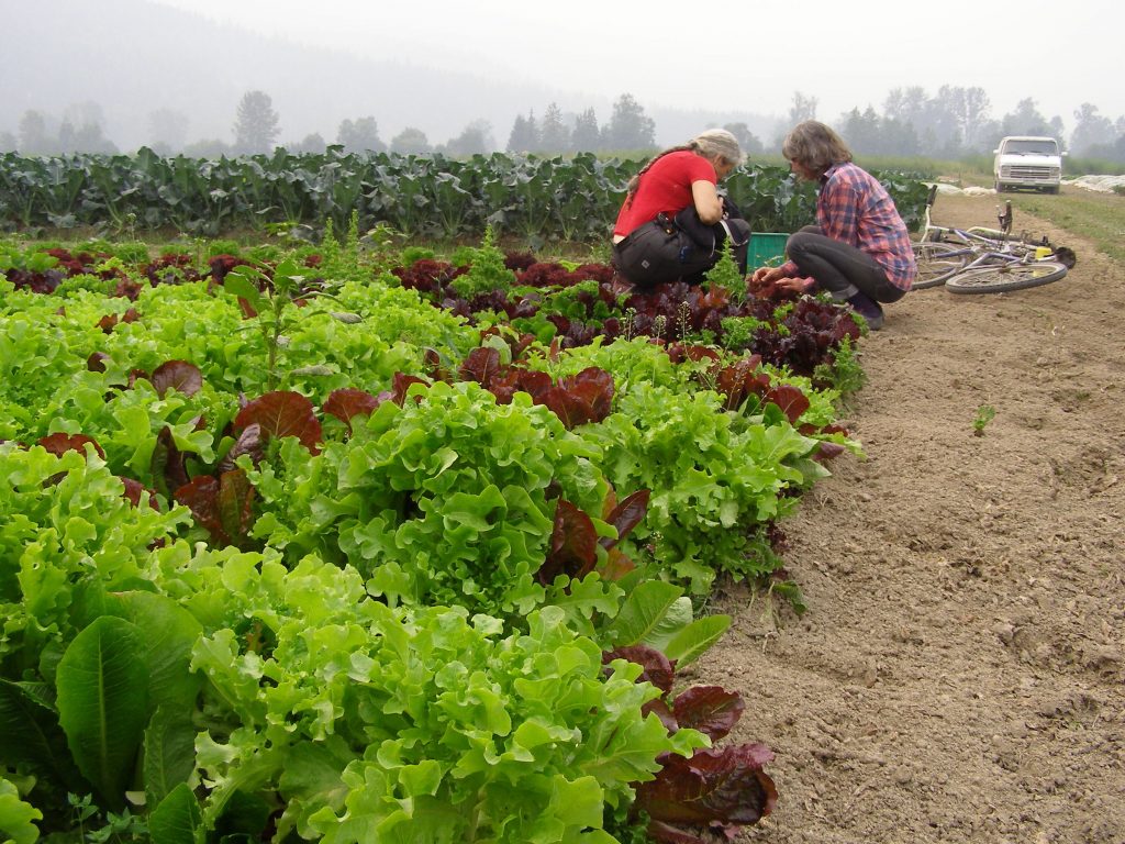 Organic Farming